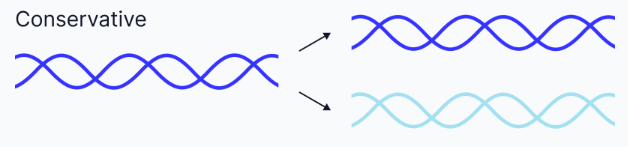 <p class="helperbird-reading-line-height-22">One entirely new DNA molecule is made, and the original remains intact.</p>
