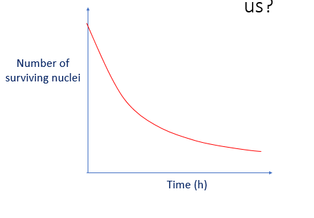 What does this graph show us?