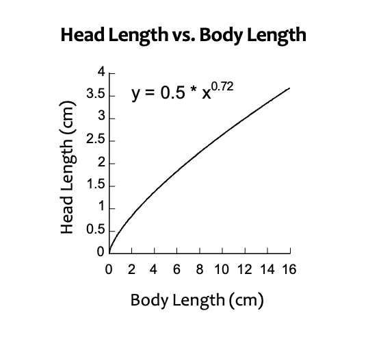 <ul><li><p>if b<1, Y increases at a slower rate than X:</p></li></ul><ul><li><p>as X increases, Y becomes relatively smaller&nbsp;</p></li><li><p>negative allometry&nbsp;</p></li></ul><p></p>