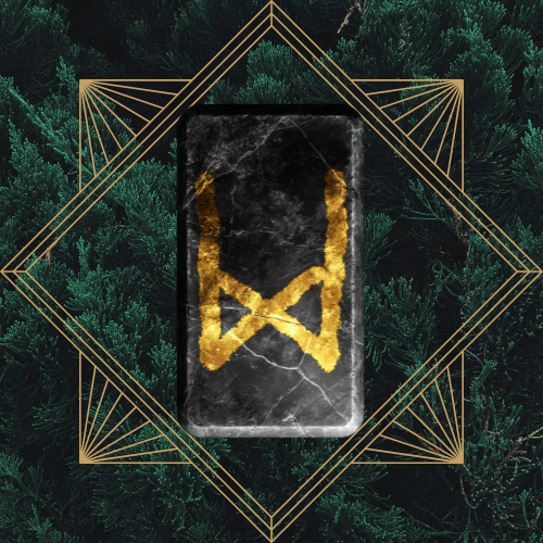 <p>mannaz - reversed</p>