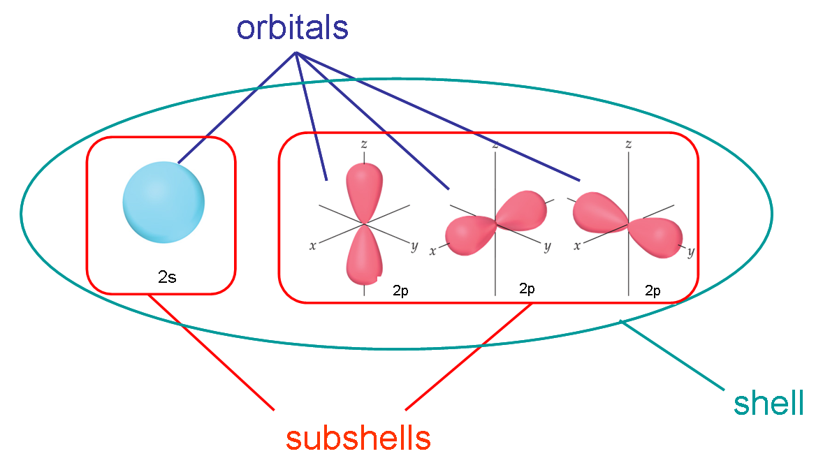 <p>d. 8</p><p></p><p>second shell meaning 2s and 2p…</p><p>2 + 6 = 8</p>