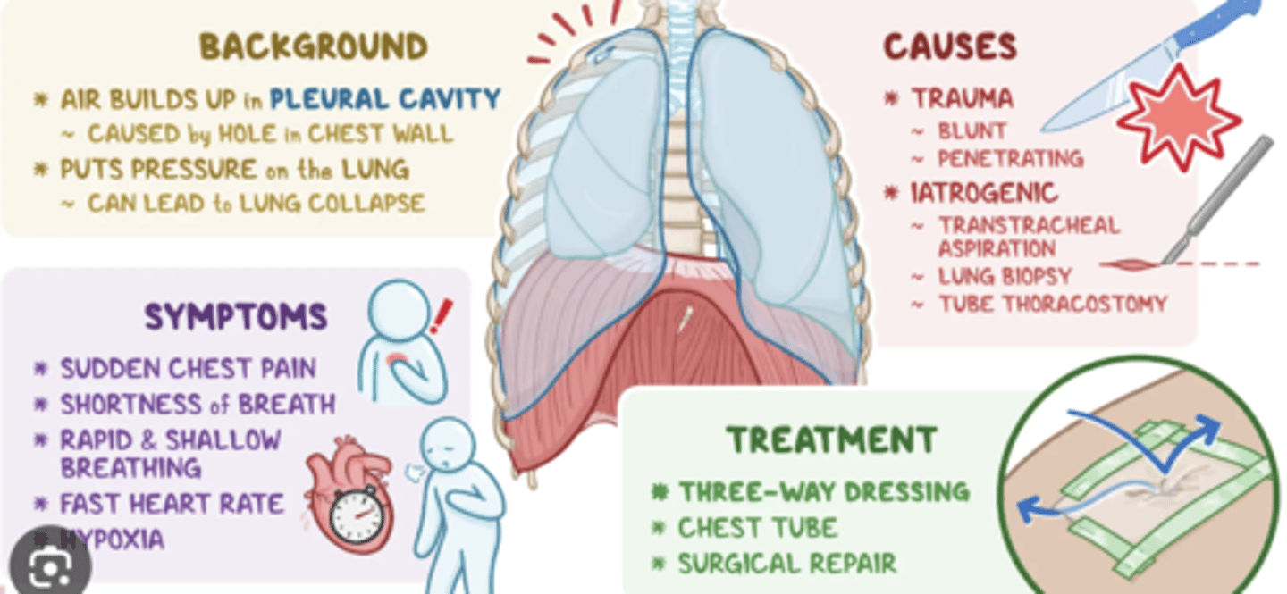<p>Difficulty breathing, chest pain, and in severe cases, respiratory distress.</p>
