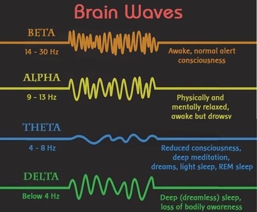 stages 1 and 2 of sleep NREM