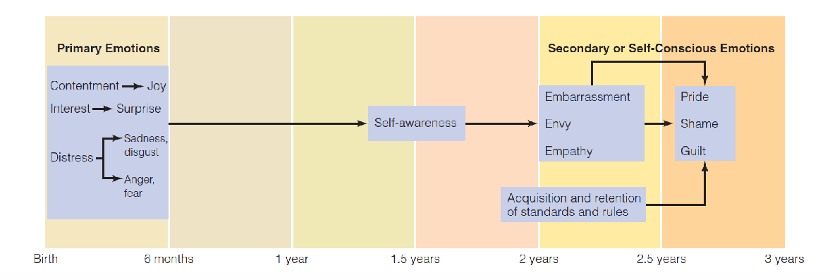 <p>• Emotions are observable in the first days of life</p><p>• Become more complex with age (→ depend on cognitive development)</p><p></p>