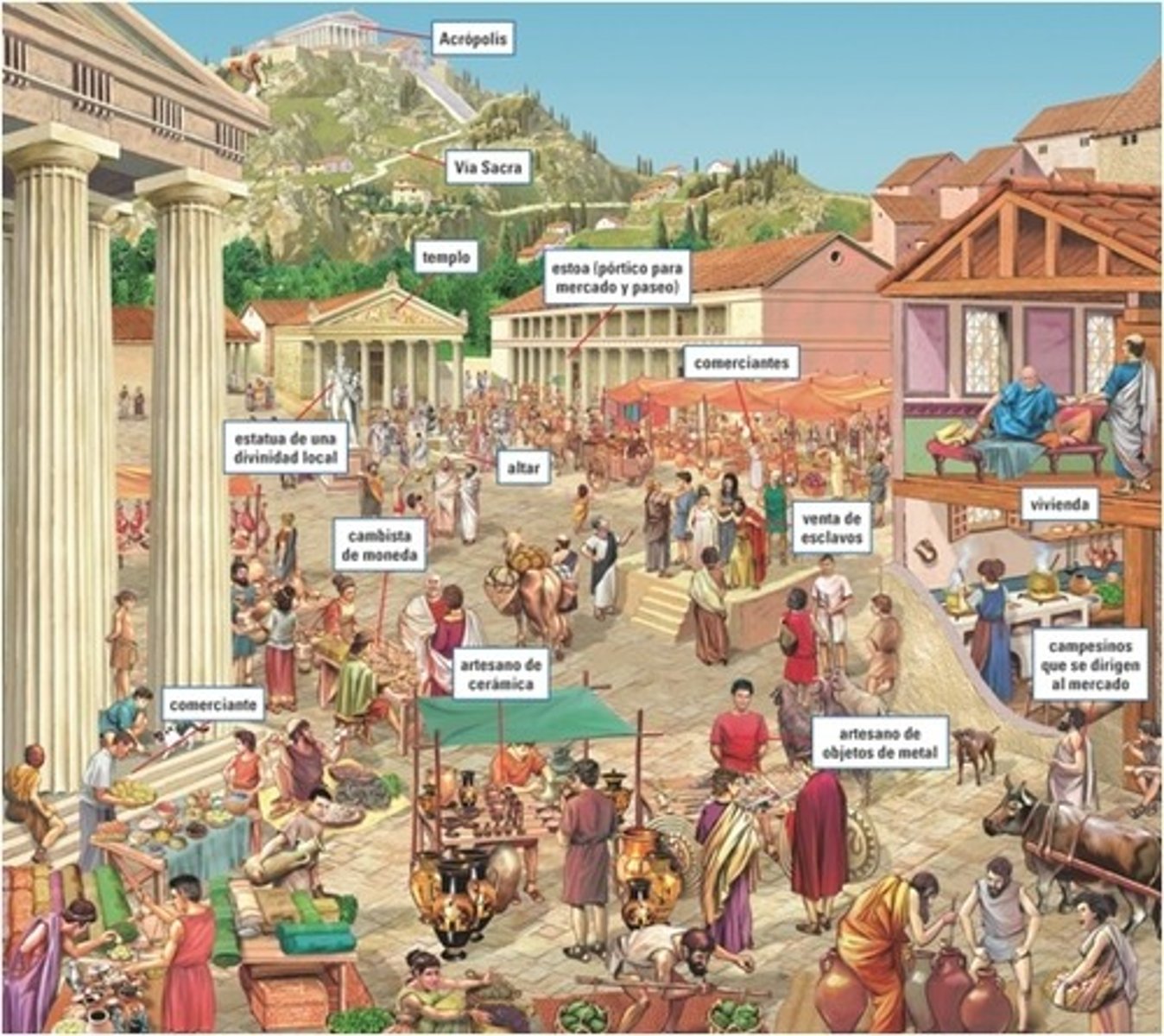 <p>A public open space in ancient Greece used for meetings and markets</p>
