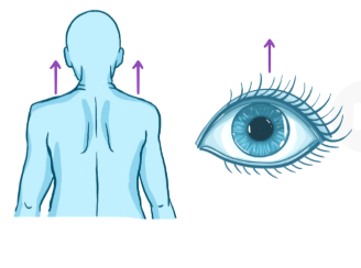 movement of a body part superiorly