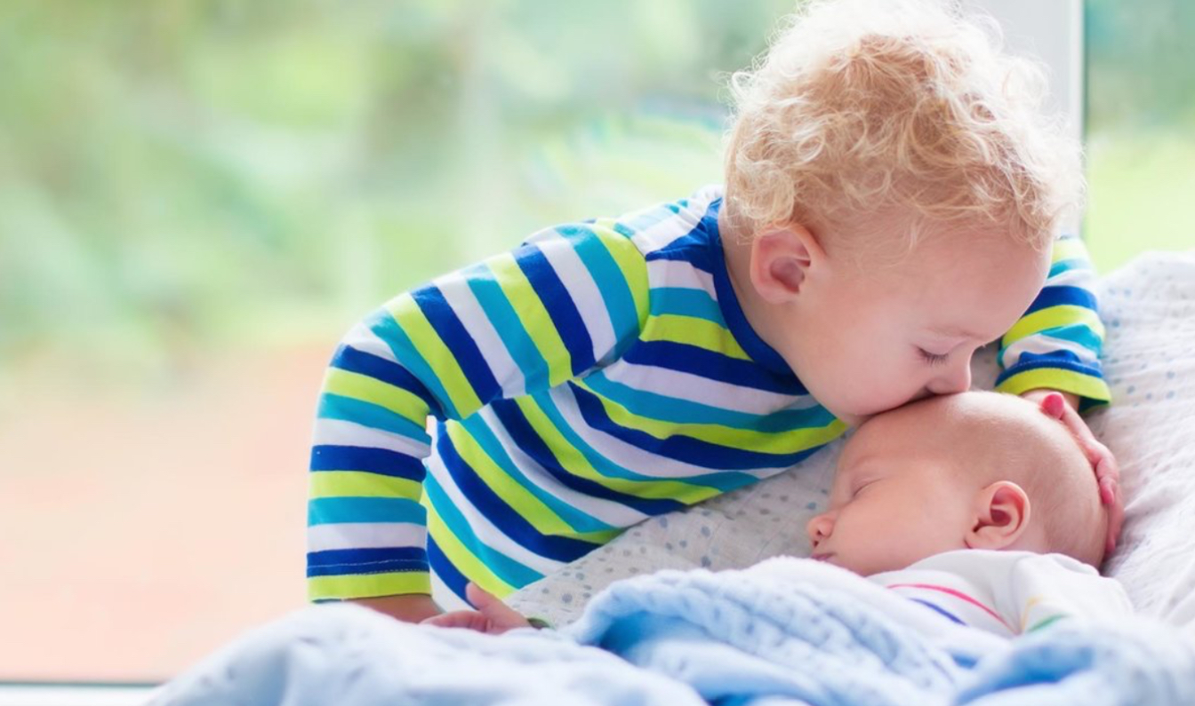 <p>Tell me briefly bout saviour siblings, therapeutic cloning, reproductive cloning and designer babies.</p>