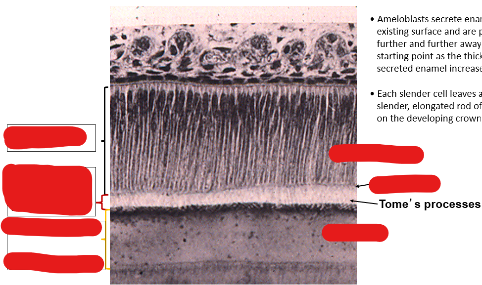 <p>Identify the components in this image</p>