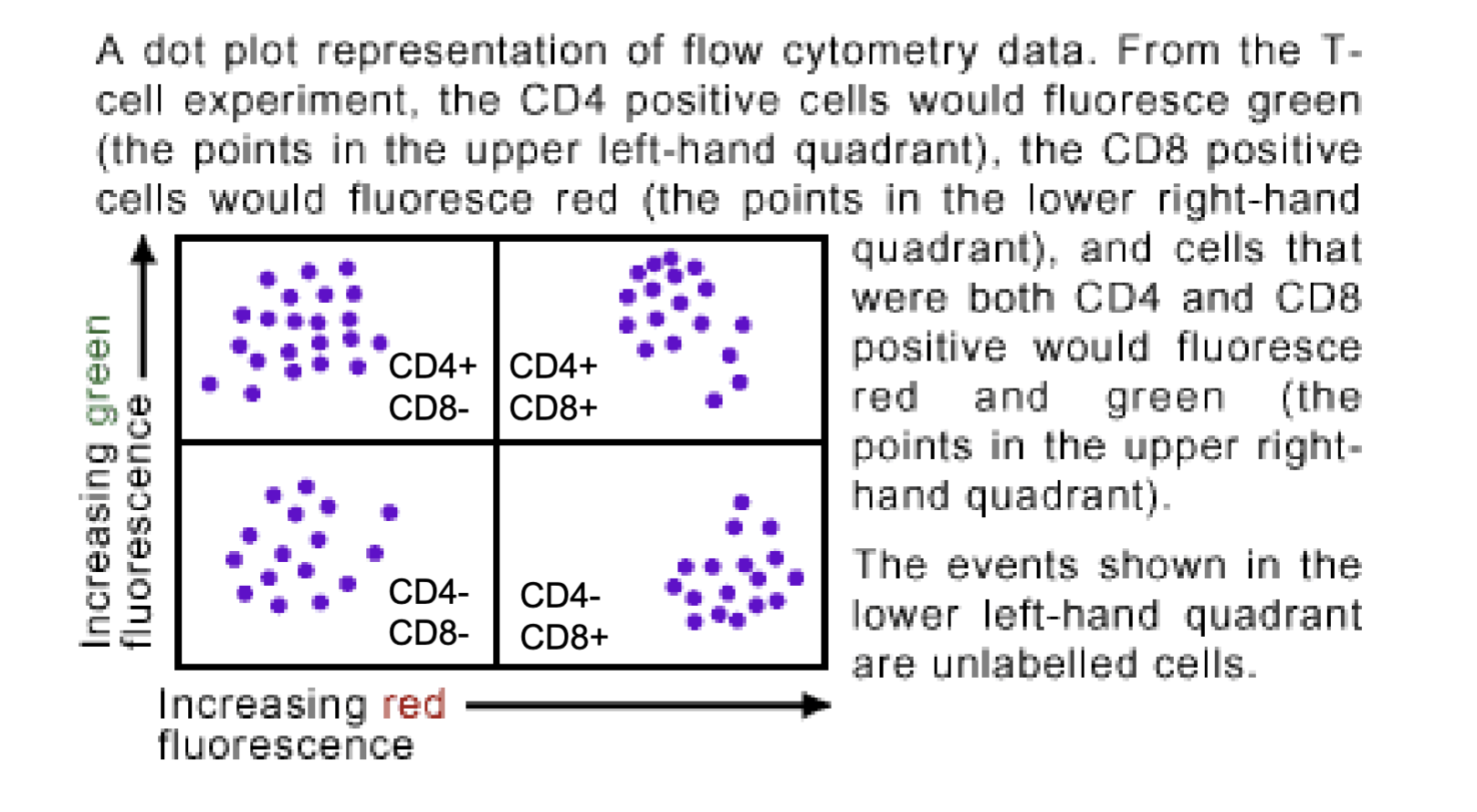 <p>when looking at data might be presented with two fluorescent signal intensities</p><p>when the cells are found in these positions need to understand the meaning</p><p>Red= CD8 marker</p><p>Green= CD4 marker</p>