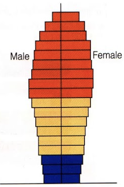 <p>identify this age structure</p>