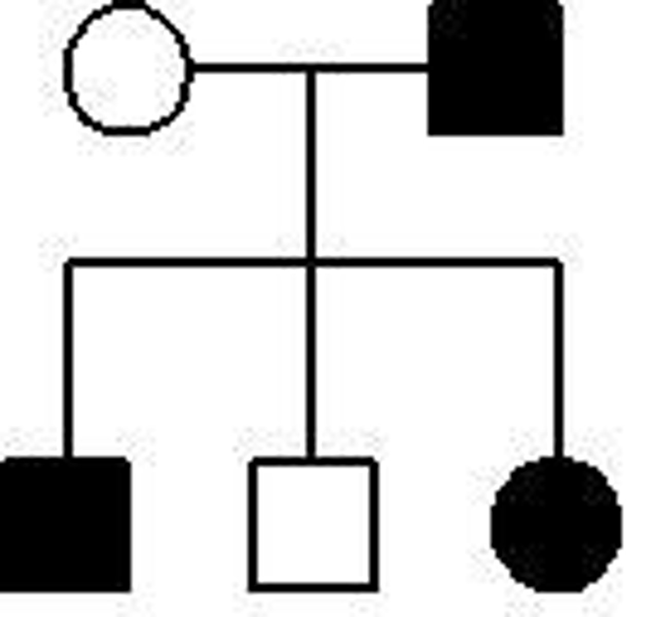 <p>Autosomal dominant</p><p>Autosomal recessive</p><p>X-linked recessive</p>