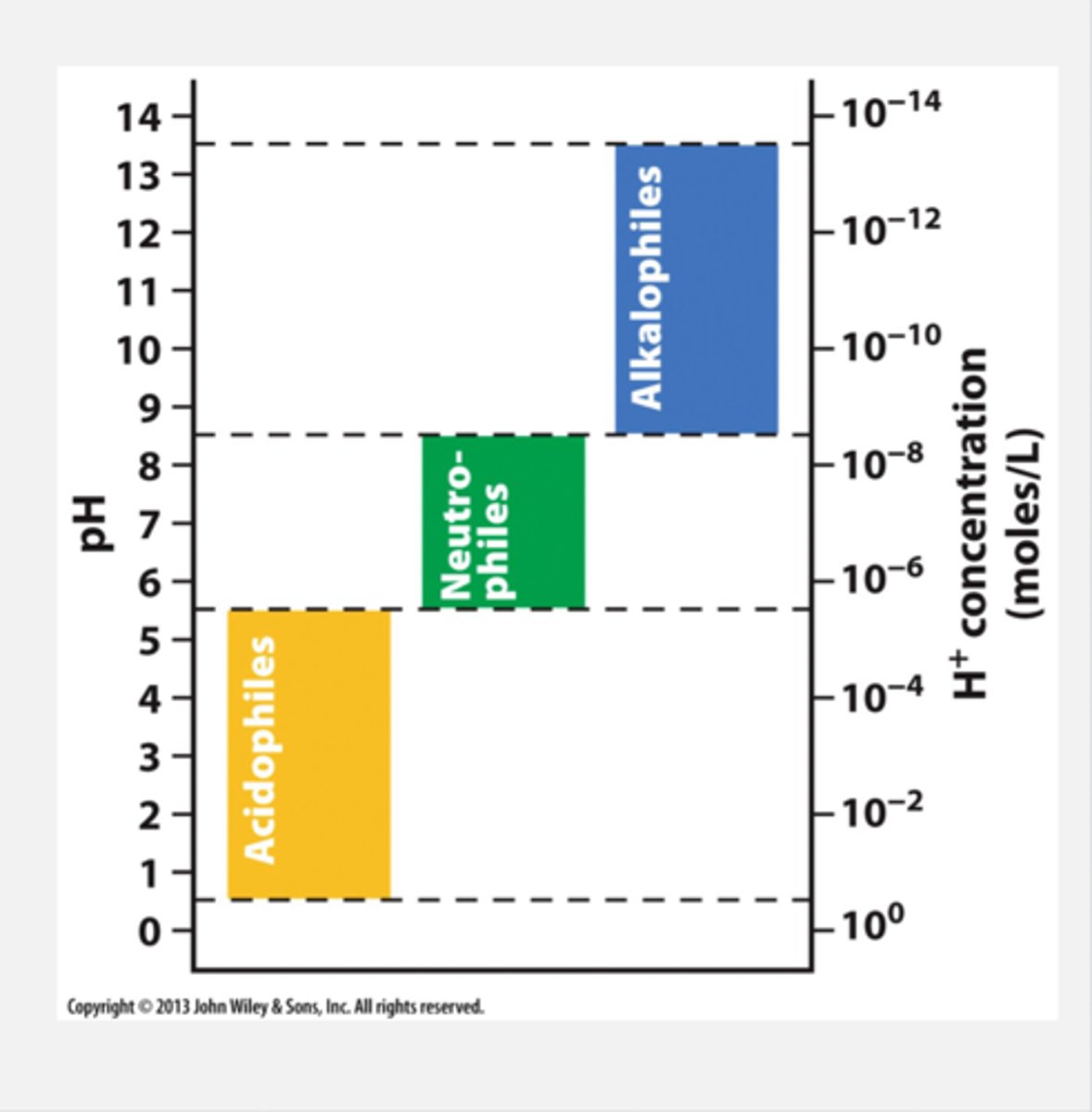 <p>pH 0.5 - 5.5 = acidophiles</p><p>pH 5.5 - 8.5 = meutrophiles</p><p>pH 8.5 - 13.5 = alkalophiles</p>