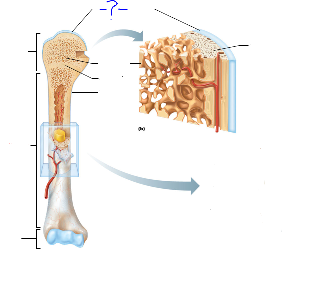 <p>(?)</p>