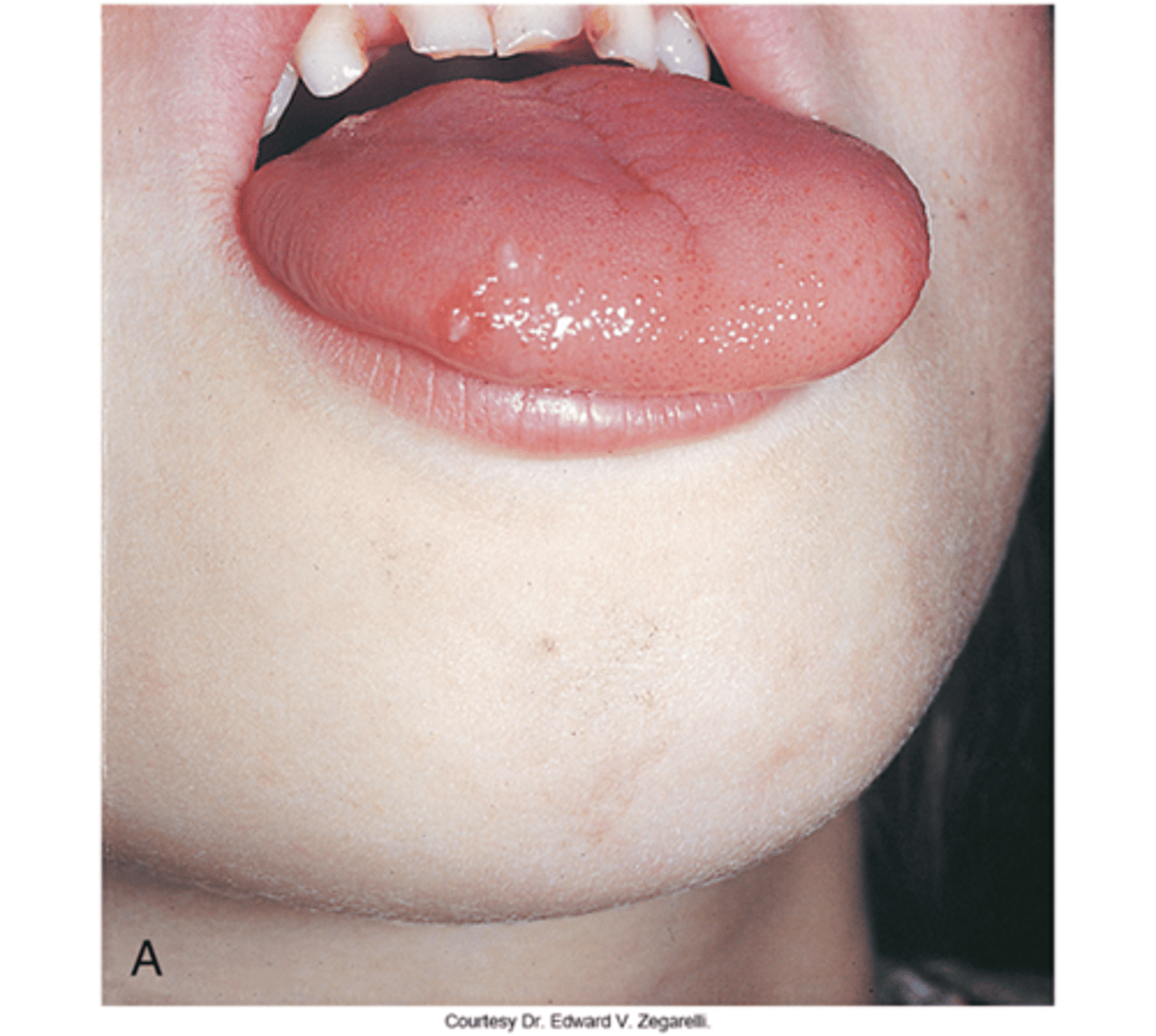 knowt flashcard image