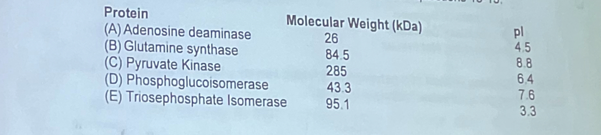 <p>Shown below are the physical and chemical properties of five different proteins. Use this information to pick the protein that fits the descriptions listed in questions 13-15.</p><p>Which protein elutes first from a size exclusion column?</p>