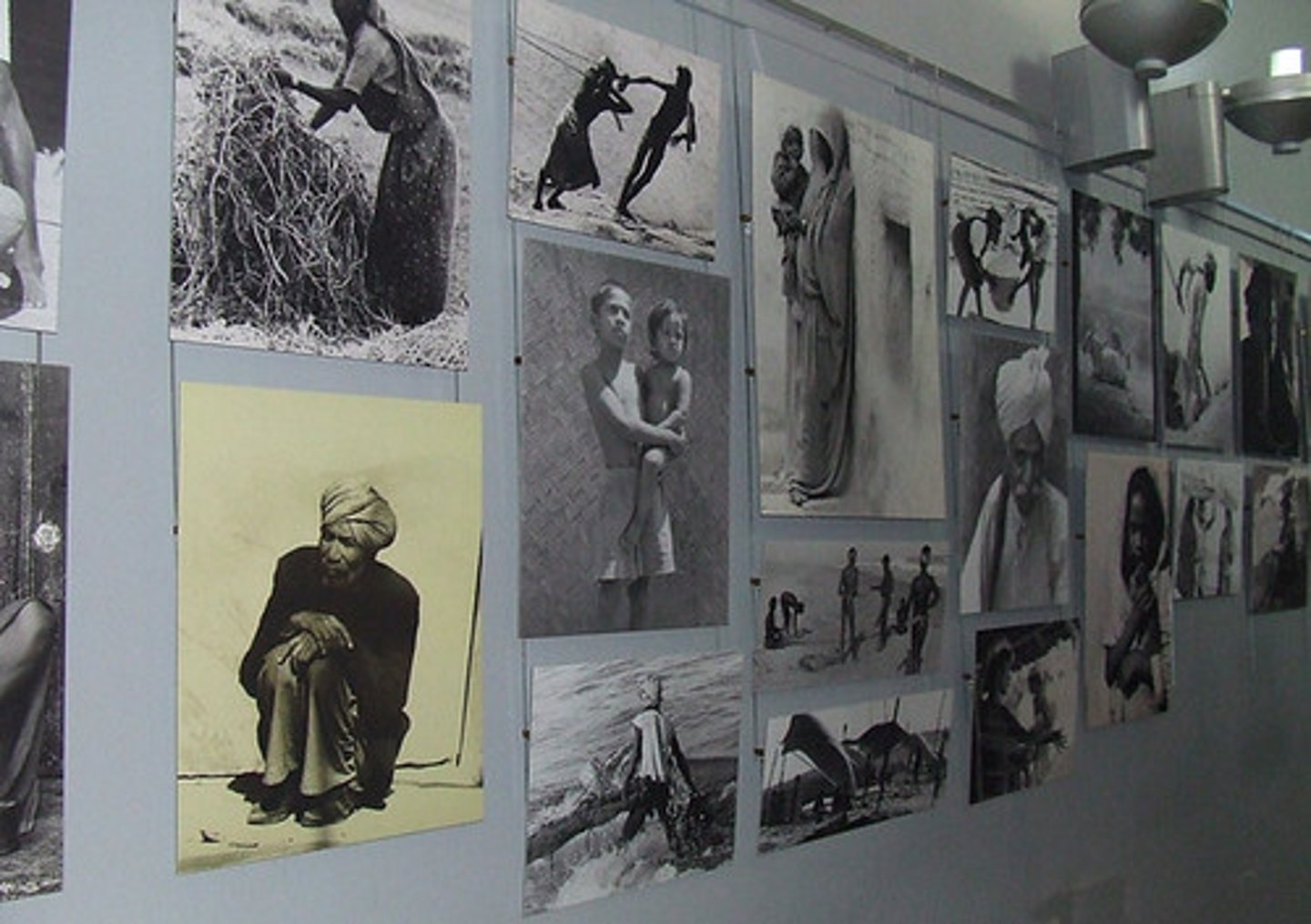 <p>photograph</p>