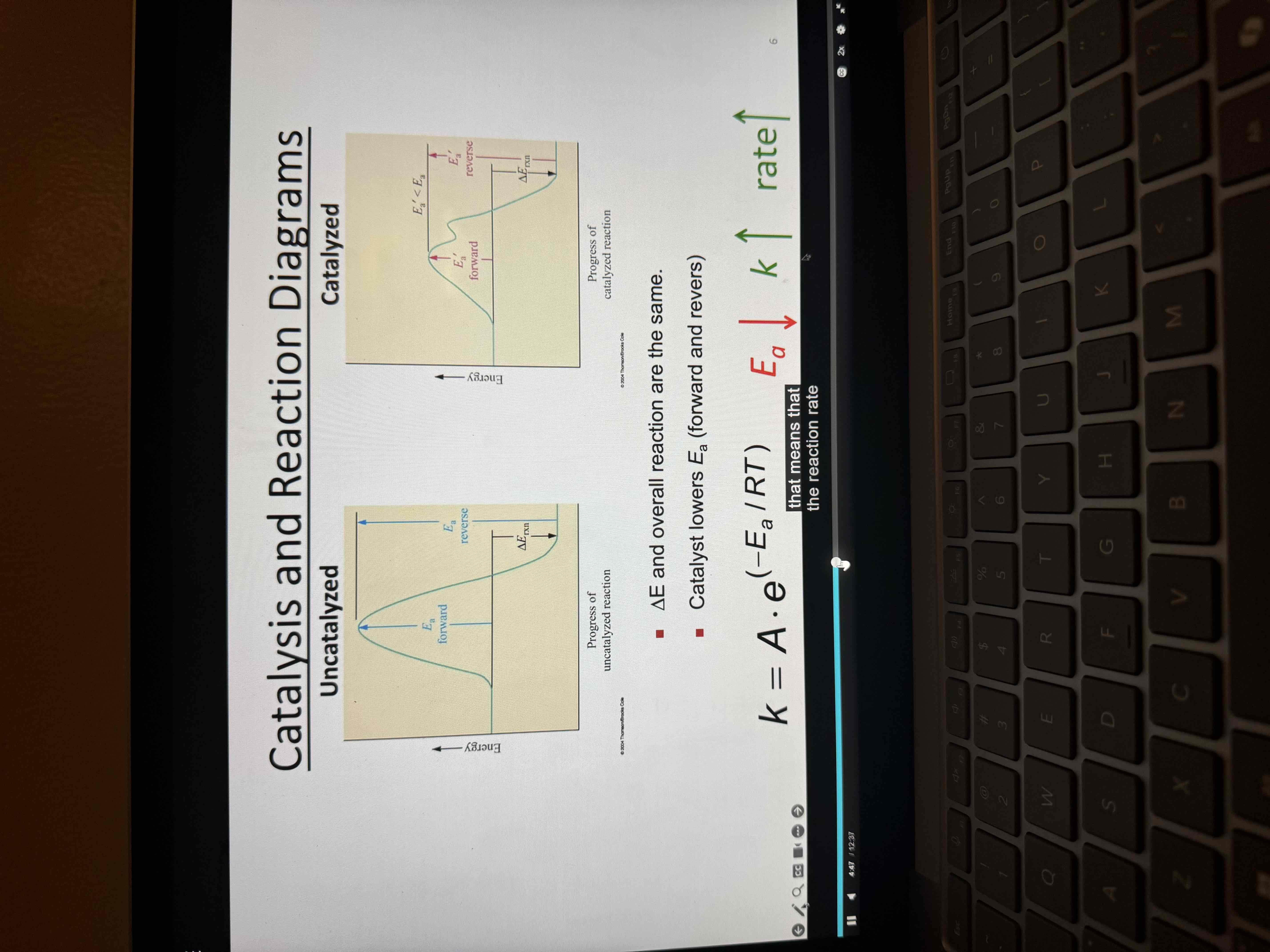 <p>Catalyzed vs un catalyzed </p>