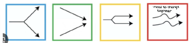 <p>(INTRO TO EVOLUTION) <strong><u>Patterns of Evolution:</u></strong> <u>Above each picture, indicate if it represents: parallel, co-evolution, convergent, or divergent evolution</u></p>
