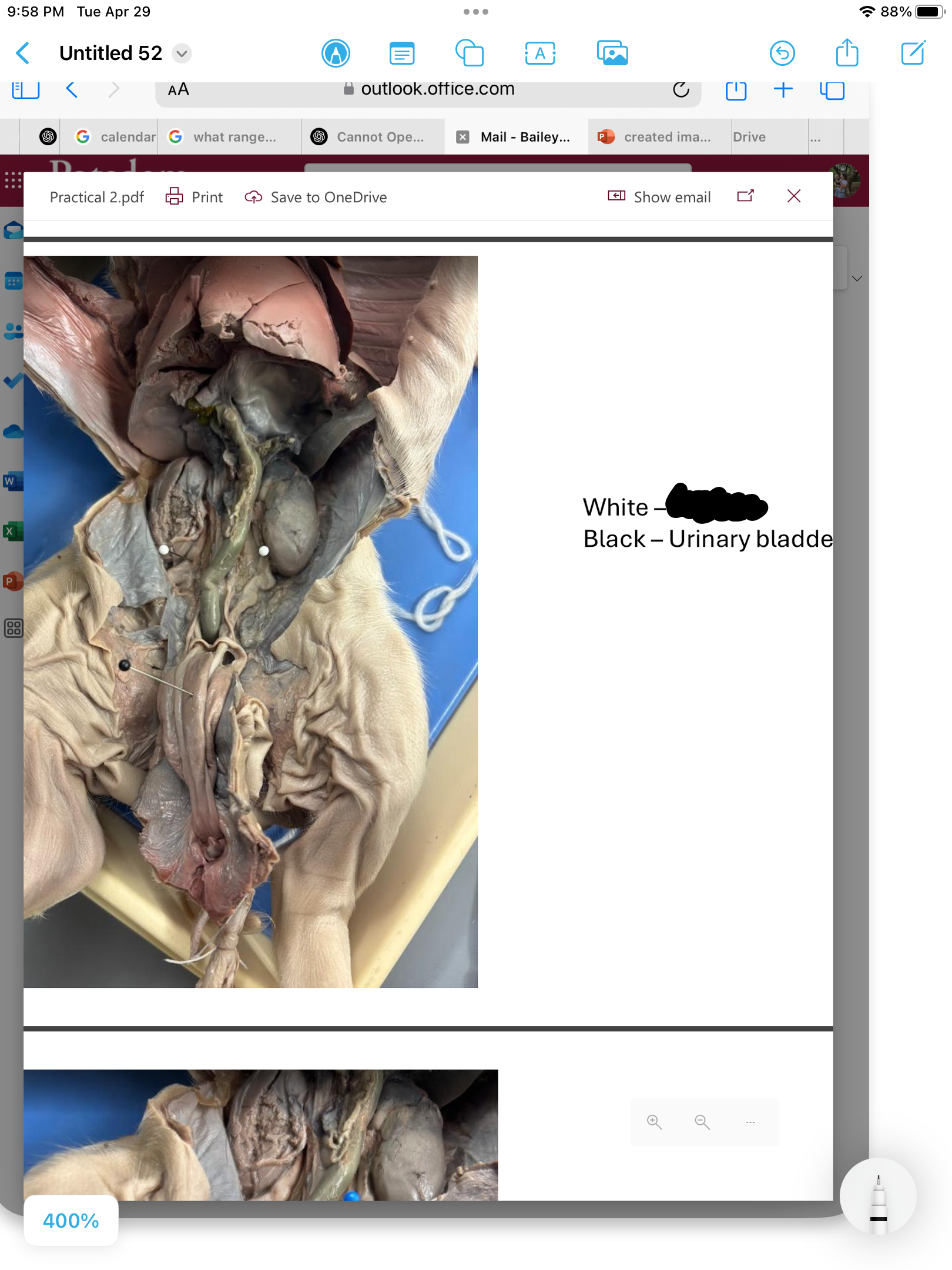 <p>label the area</p>