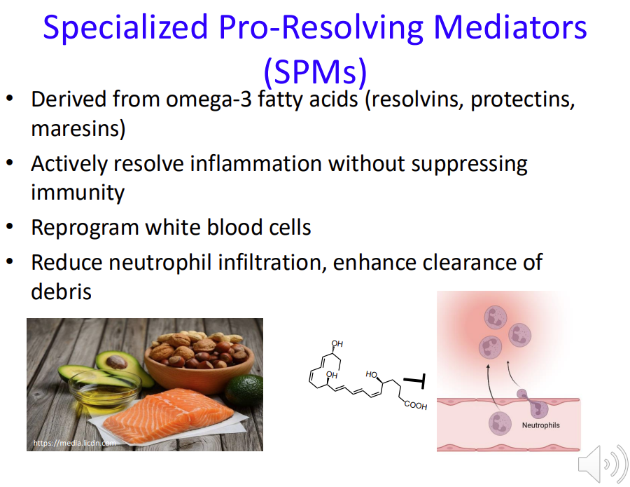 <ul><li><p>Derived from <strong>omega-3 fatty acids</strong> (resolvins, protectins, maresins)</p></li><li><p>Actively resolve inflammation <strong>without </strong>suppressing immunity - unlike immunosuppressants&nbsp;</p></li><li><p>Reprogram white blood cells</p></li><li><p>Reduce neutrophil infiltration, enhance clearance of debris</p></li></ul><p></p>