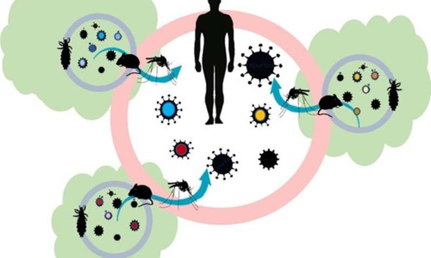<p>(Có tính truyền nhiễm, bệnh truyền nhiễm)</p><p>The flu is an infectious disease that spreads quickly through coughing and sneezing.</p>