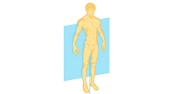 <p>frontal plane</p>
