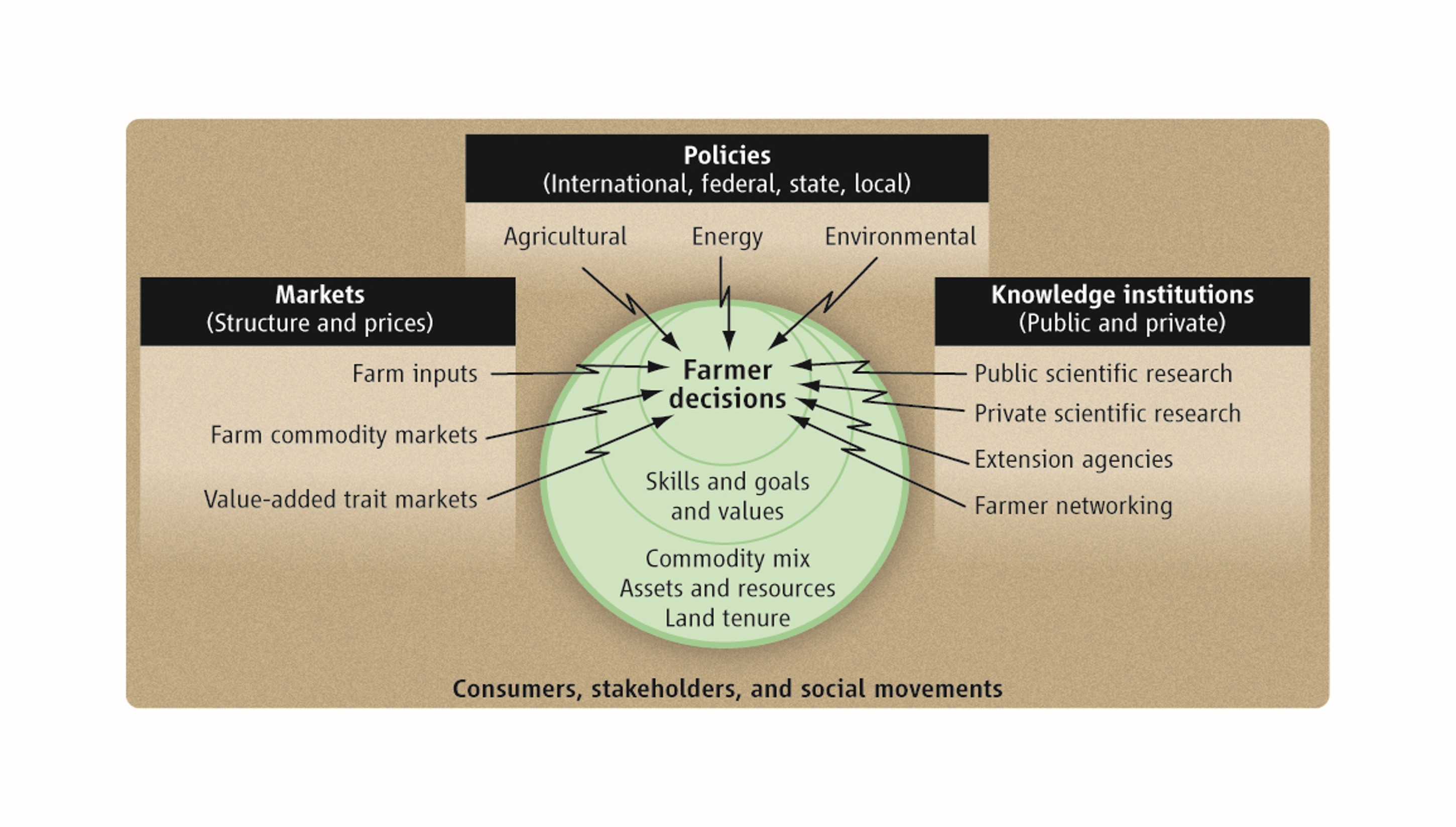 <p><span><strong>Drivers and Constraints Affecting Farmers’ Decisions</strong></span></p>