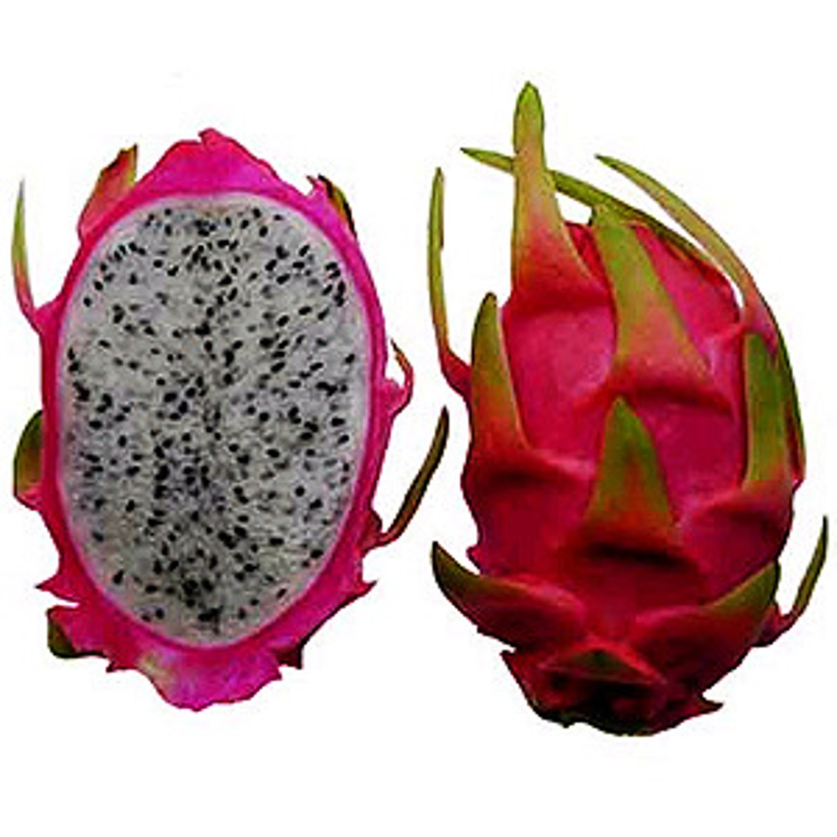 <p>huǒ lóng guǒ</p>