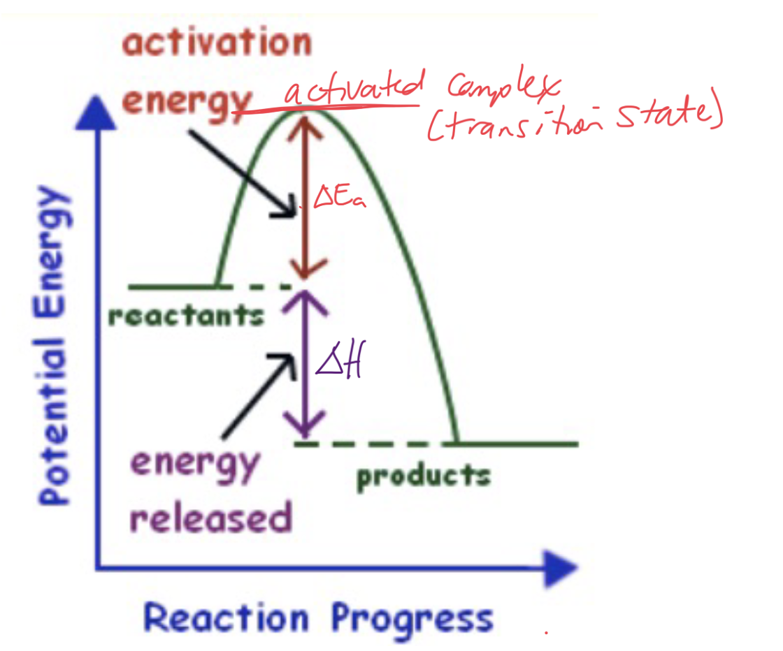 <p>What type of graph and reaction is this?</p>