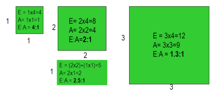<p>increases in smaller fragments</p><p>e.g. 1×1 square E:A = 4:1</p><p>2×2 square E:A = 2:1</p><p>2×1 rectangle E:A = 2.5:1</p><p>3×3 square E:A = 1.3:1</p>