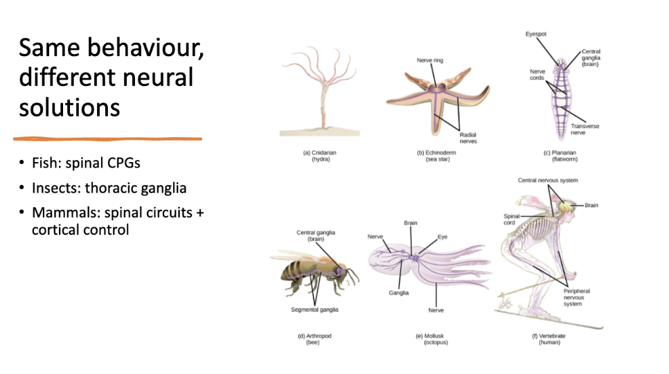 <p>info card flip for key takeaway summary </p>