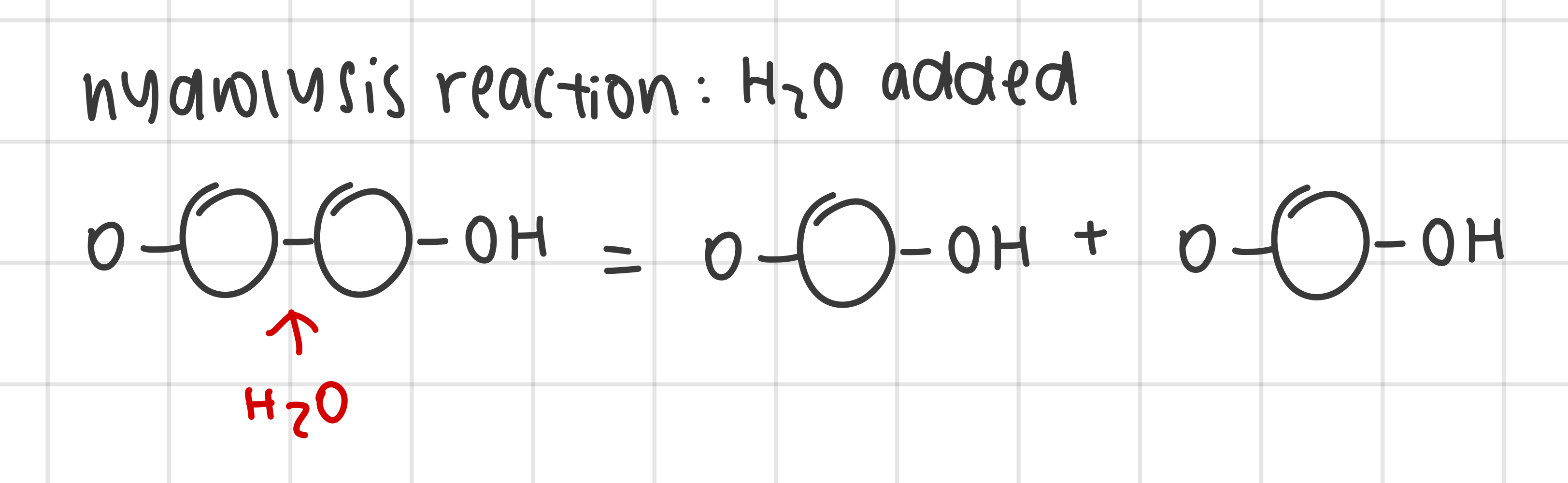 <ul><li><p>polymers broken down into monomers by hydrolysis</p><ul><li><p>water molecule added as a reactant to facilitate the breakage of covalent bonds between the monomers</p></li></ul></li></ul><p></p>