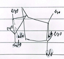 <p>substituents must be endo while the hydrogens must be exo</p>