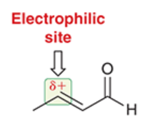 <p>the alpha,beta-unsaturated aldehyde in a Michael reaction</p><p>the electrophile</p>