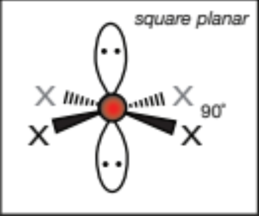 <p>square planar, 90 degrees</p>