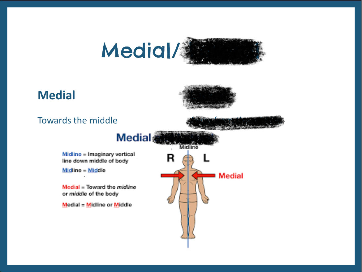 <p>Toward the midline of the body</p>