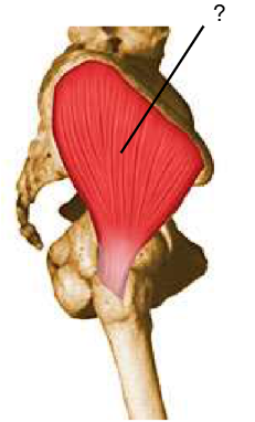 <p>Nom et caractéristiques de cette structure ?</p>