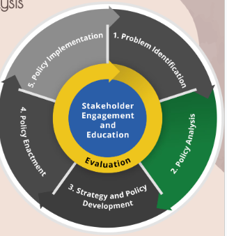 <ol><li><p>select multiple policy options via research, environmental scans, surveys of others</p></li><li><p>consider health impact, cost of implementation, feasibility</p></li><li><p>rank options based on steps above. identify trade offs and figure out best option</p></li></ol><p></p>