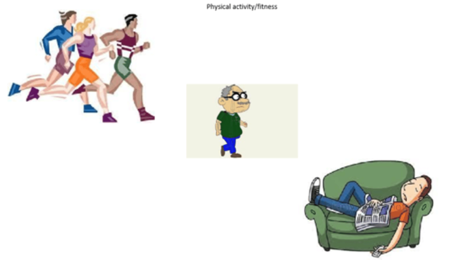 <p>categorical with a “value” variable that can take on a logical order, sequence or rank</p><p>ex) level of physical fitness</p>