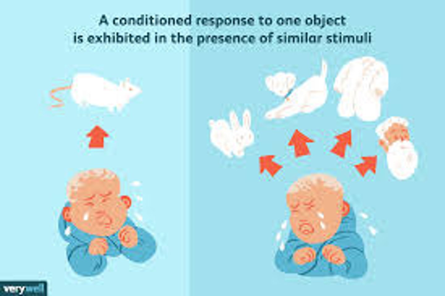 <p>The tendency to respond in the same way to different but similar stimuli. For example, a dog conditioned to salivate to a tone may also salivate to a different tone that is similar.</p>