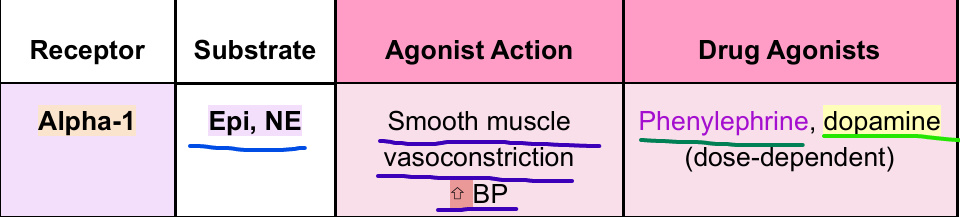 <p>- location:&nbsp;<span style="color: rgb(195, 59, 59);">Smooth muscles</span>, including&nbsp;<span style="color: rgb(235, 12, 12);">blood vessels</span><br>MOA:&nbsp;↑&nbsp;<strong>Vasoconstriction</strong> =&nbsp;<strong>↑</strong>&nbsp;<strong>BP</strong><br>Phenylephrine: <span style="color: rgb(45, 235, 86);">alpha-1</span> agonist<br><u>dopamine:</u>&nbsp;<span style="color: rgb(45, 235, 86);">alpha-1</span>&nbsp;agonist;&nbsp;High dose: 10-20 mcg/kg/min</p>