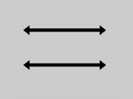 parallel lines 