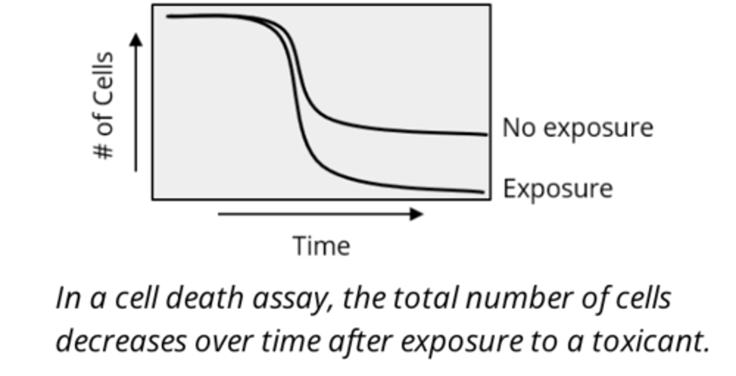 <p>assess how exposure to a chemical affects the extent or rate of cell death in a particular cell type</p>