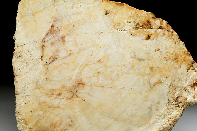 <p>Identify the metamorphic rock</p>