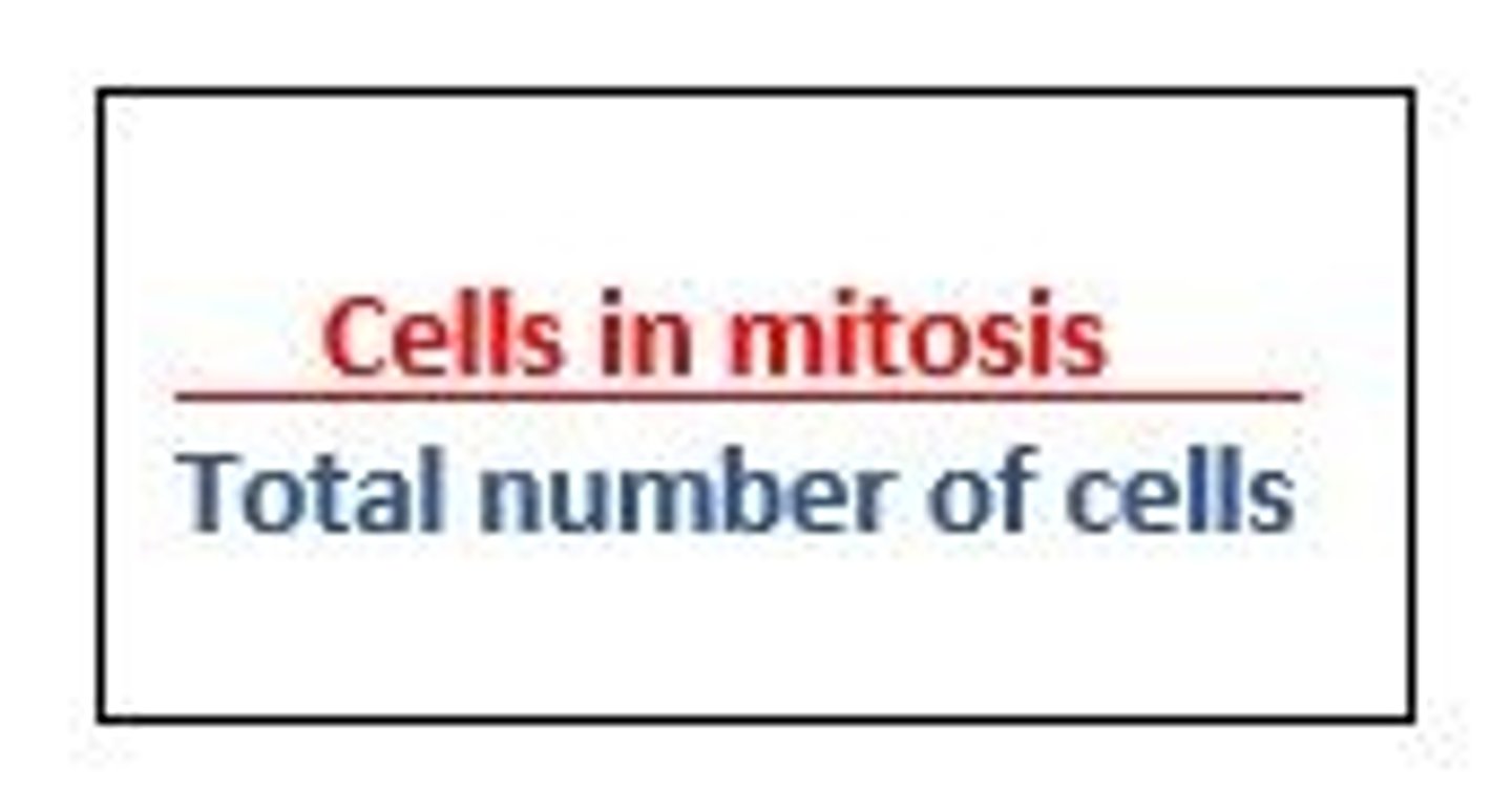 <p>the ratio between the number of cells in mitosis in a tissue and the total number of observed cells.</p><p>Mitotic index =</p><p>number of cells in mitosis / total number of cells</p>