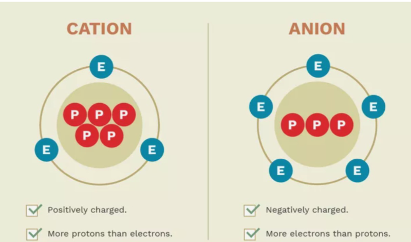 <p>Negatively charged ion that has more electrons than protons, meaning it has gained one or more electrons</p>