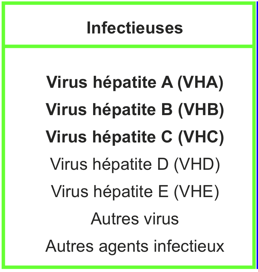 <p>(causent hépatites et jaunisses) </p>