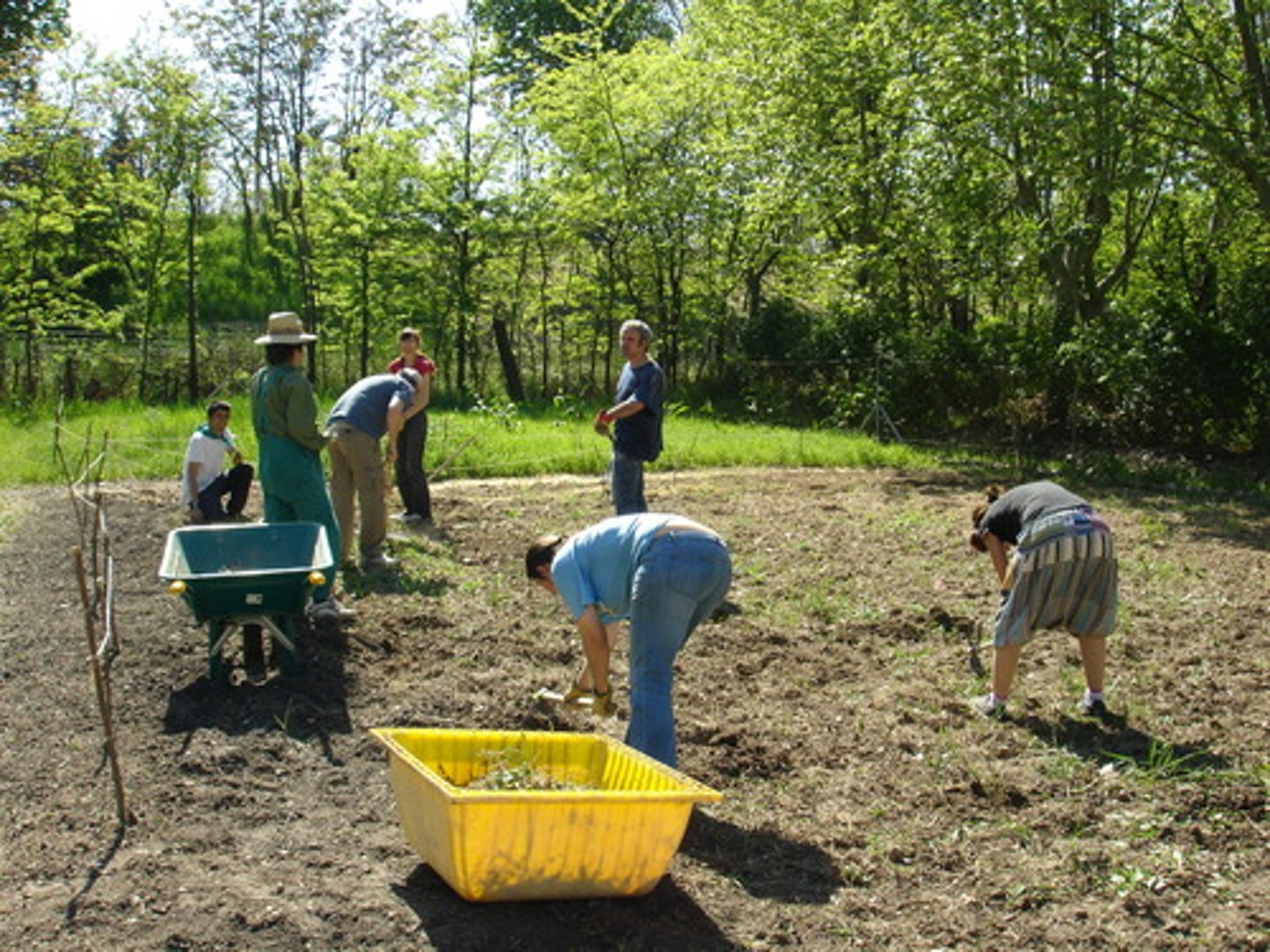 <p>To cultivate, to farm</p>