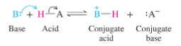 <p>Proton Acceptor (species with a pair of electrons)</p>