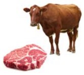 <p>beef</p>